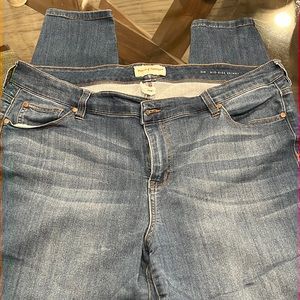 Molly & Isadora Mid-Rise Skinny Jeans - 20W